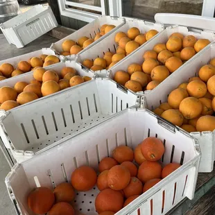 Fruit selection - mostly oranges this time of year (3/2024).
