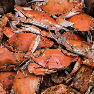 a bucket full of crabs