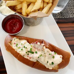 a hot dog and french fries