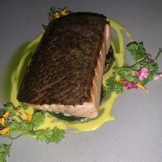 Scottish Salmon