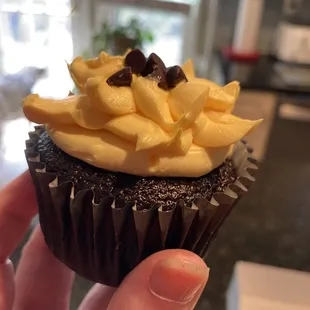 a hand holding a chocolate cupcake