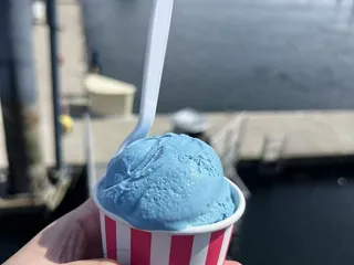 Scoops & Bites