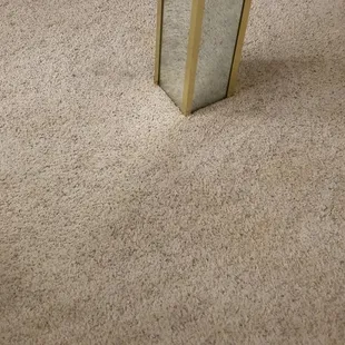 Urine Odors, but can't see the stain...