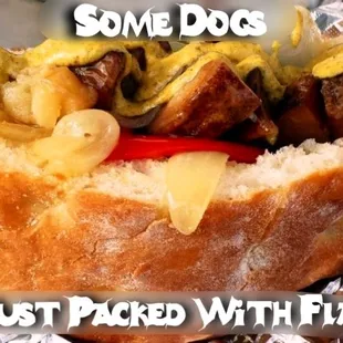 a person holding a hot dog