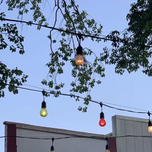 Night falls and the lights come up!