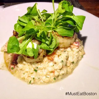 Diver Sea Scallops