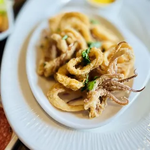 Crispy Calamari