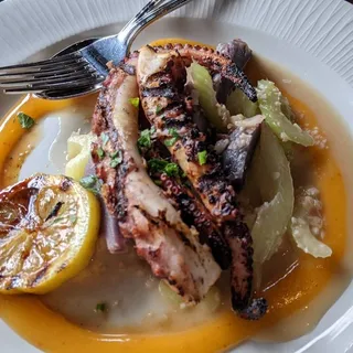 Grilled Octopus