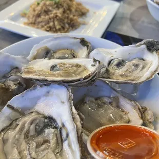 Raw Oysters