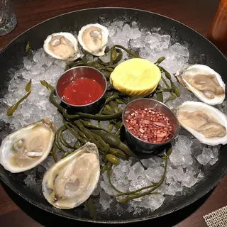 Oysters