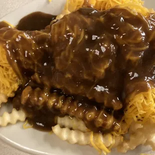 Gravy Cheese Fries