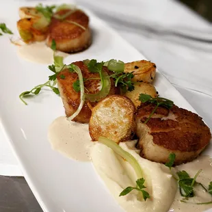 Scallops