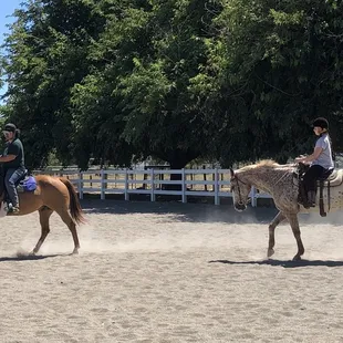 Cash &amp; David giving our student a lesson on Clyde.