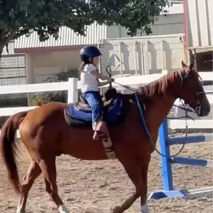 Our clients love their lessons on Cash.