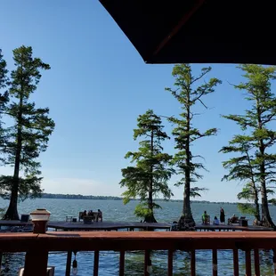 Reelfoot lake