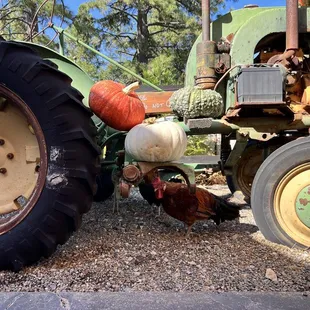 a tractor and a pumpkin