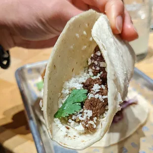 Mezcal steak taco