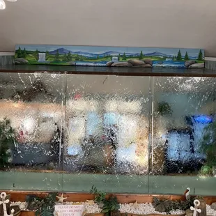 a fish tank