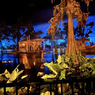 View from our table