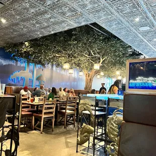 Beautiful Tree of Life