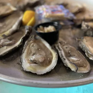 Raw Oysters