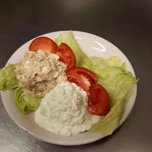 Tuna Light Plate