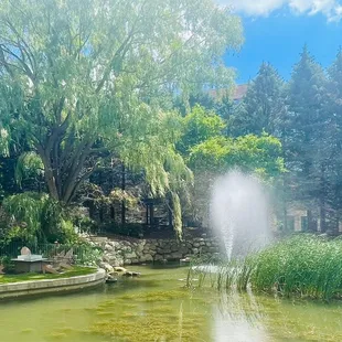 A little paradise tucked away in Blue Birch