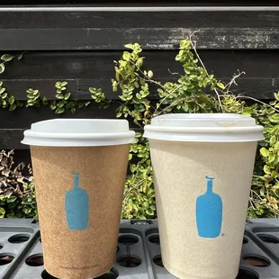 Pour Over snd Cold Brew