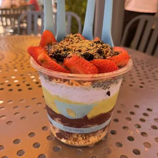 Blue Chia Pudding, Blue Coconut, Matcha, Açaí Bases