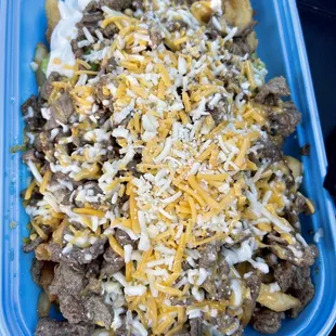 Regular Carne Asada Fries