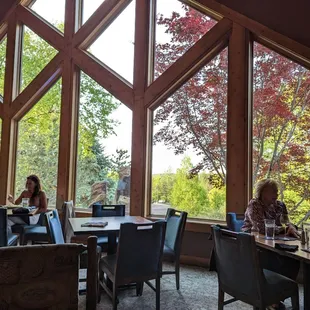 Lovely dining room view