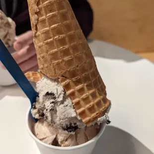 Snickerdoodle &amp; Cookies &amp; Creme