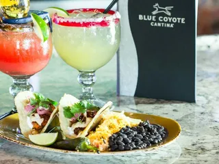 Blue Coyote Cantina