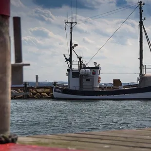 We have the freshest products shipped from our ports!