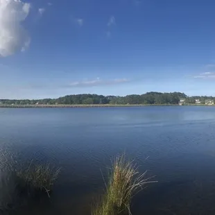 a view of a lake and a dock