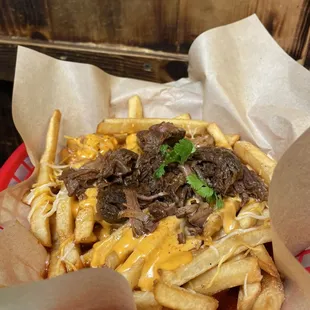 Birria fries