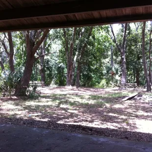 Great place for a picnic!