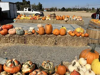 Cuevas Garden Highway Gardens