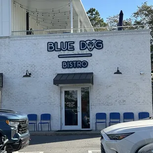 Front view - Blue Dog - Gulf Port