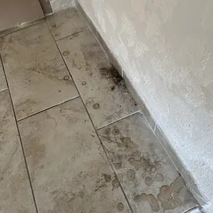 Their lack of cleaning service.