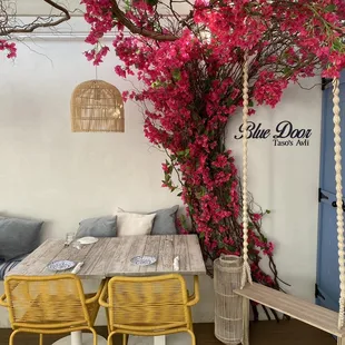 Back patio