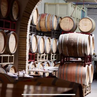 barrels in a wine cellar
