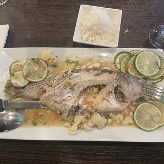 Lime Fish