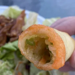 Delicious mini spring roll