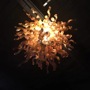 Coolest chandeliers!