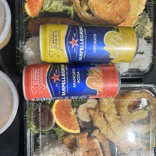 Chicken Katsu Bento Box and Salmon Box