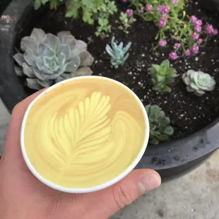 Breaking into 2021 with our brand new Turmeric Drink Menu!