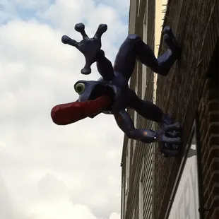 Outside of blue frog.