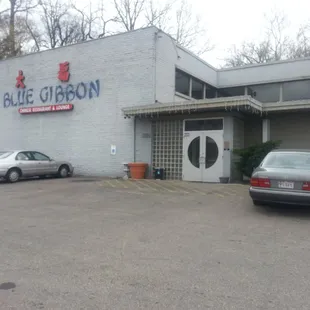 Blue Gibbon St Bernard