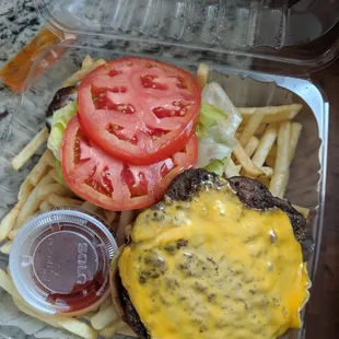 Surprisingly good cheeseburgers. The fries were okay. I'd order again.